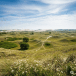 De Korte Duinen: Verken de Levende Sahara van de Utrechtse Heuvelrug
